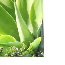 Agave Photo Art Print On Canvas