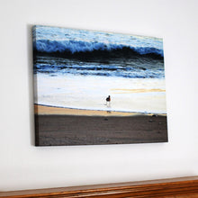Sandpiper Large Photo Art Print On Canvas - Fearless