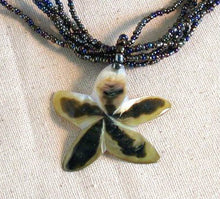 Star Shell Necklace - Natural Artist