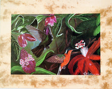 Whispering Wings Limited Edition Print - Natural Artist