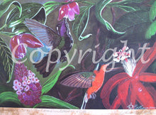 Whispering Wings Limited Edition Print - Natural Artist